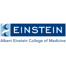 Albert Einstein College of Medicine, Bronx